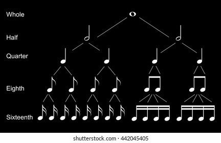 Types of musical  notes