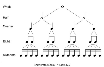 Types of musical  notes