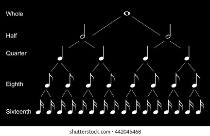 Types of musical  notes