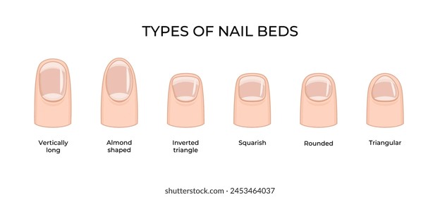 Types of nail beds -03