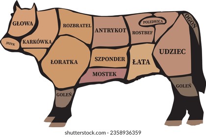 Tipos y nombres de cortes de carne de vacuno