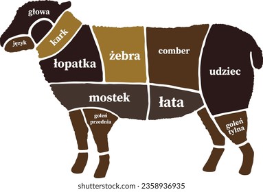 Tipos y nombres de la carne de ovino