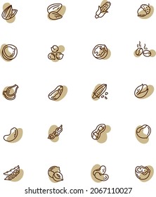 Types of nuts, illustration, vector, on a white background.