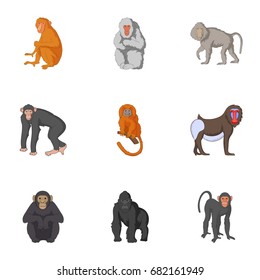 Types of orangutans icons set. Cartoon set of 9 types of orangutans vector icons for web isolated on white background