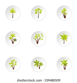 Types of palm icons set. Flat illustration of 9 types of palm vector icons for web