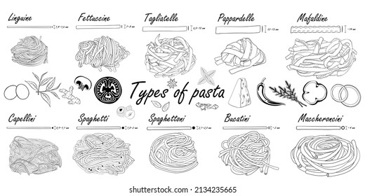 Types of pasta. Black and white. Long pasta difference, illustration example. 