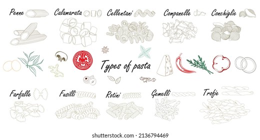 Types of pasta. Black and white. Short pasta difference, illustration example with ingredients. 