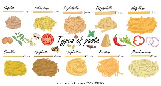 Types of pasta. Long pasta difference, illustration example. 