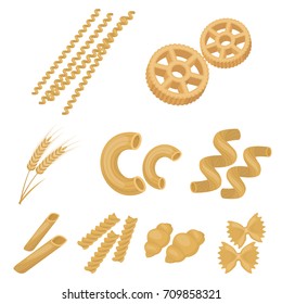 Types of pasta set icons in cartoon style. Big collection of types of pasta vector symbol stock illustration