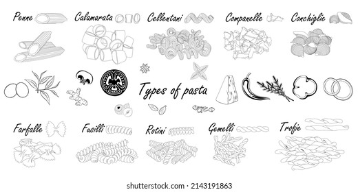 Types of pasta. Short pasta difference, illustration example with ingredients. Black and white. 