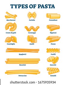 Tipos de ilustraciones vectoriales de pasta. La cocina italiana etiquetada da forma a la explicación. Varios estilos con títulos. Spaghetti, penne, conchiglie, maccheroni, gemelli y farfalo ejemplo en afiche educativo