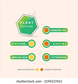 Types of plant hormone in agriculture and biology. Growth promoters and growth inhibitors. auxins, gibberelins, cytokinins, ethylene, abscicic acid