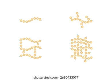 Types of Polymer Structure Science Design. Vector Illustration.