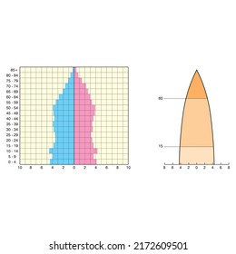 Types of population pyramids that can be seen in Turkey or other countries