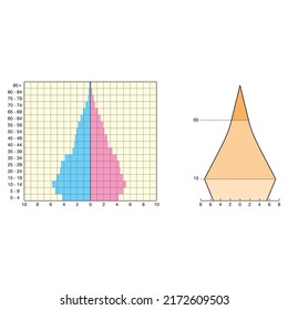 Types of population pyramids that can be seen in Turkey or other countries