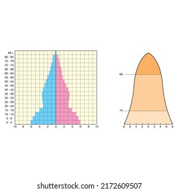 Types of population pyramids that can be seen in Turkey or other countries