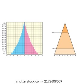 Types of population pyramids that can be seen in Turkey or other countries