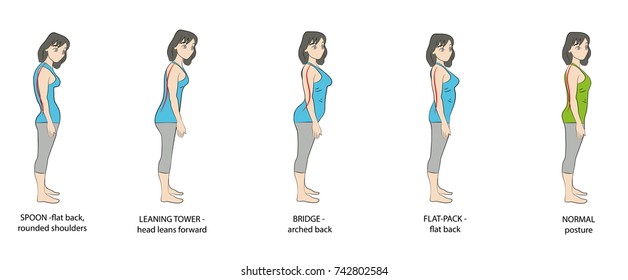 types of posture women. vector illustration.