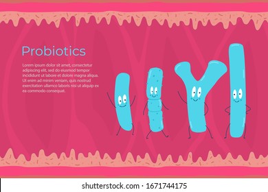 Tipos de probióticos en el fondo del intestino. Ilustración vectorial.