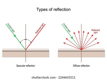 Types of reflection. Specular and Diffuse reflection. Incident light and Reflected rays. Vector illustration for education