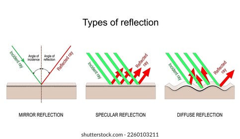 Types of reflection. Specular, Diffuse, and Mirror reflection. Incident light and Reflected rays. Vector illustration for education