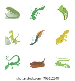 Types of reptile icons set. Cartoon set of 9 types of reptile vector icons for web isolated on white background