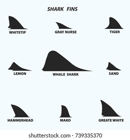 Types of shark fins, black icons on white background. Vector illustration.