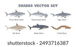 Types of Sharks vector illustration set. Shark species cartoon clipart in flat style. Includes Great White Shark, Hammerhead Shark, Tiger Shark, Bull, Whale, Frilled Sharks. Ocean, sea animal concept