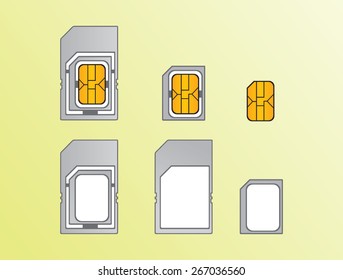 Types of SIM cards. Vector illustration