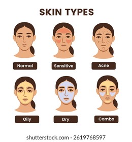 Types of Skin - Understanding Skin Type - Dry Vs Oily - Normal Skin - Stock Illustration as EPS 10 File