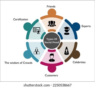 Types of social proofs with icons in an infographic template