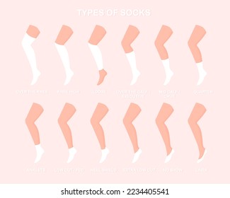 Types of socks set. Socks of different heights and various forms. Vector illustration isolated.	