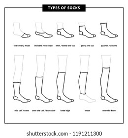 Types of socks set. No-show, low-cut, extra low-cut, quarter, mid-calf, over the calf, knee socks. Linear design socks set vector illustration.