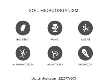 Types of soil microorganisms in black and white icon style. Soil microbiology Includes bacteria, fungi, nematodes, actunimycetes, protozoa,algae