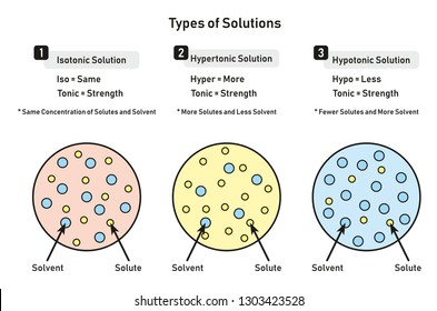 Types of Solutions infographic diagram including isotonic hypertonic hypotonic and relation between solute and solvent for chemistry science education