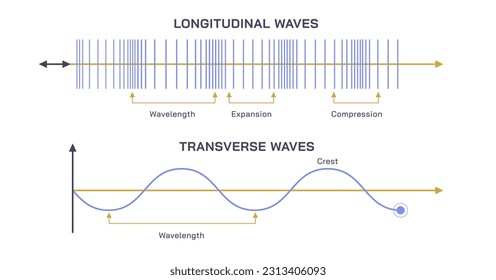 Types of sound waves vector illustration. Longitudinal waves, and transverse waves. Sound properties. Crest length and wave length. Compression and pitch detection. 