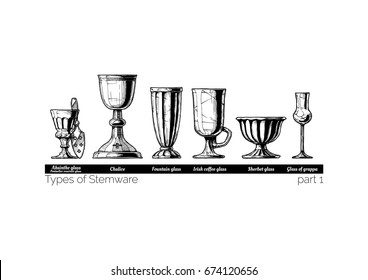 Types Stemware Vector Hand Drawn Illustration Stock Vector (royalty 