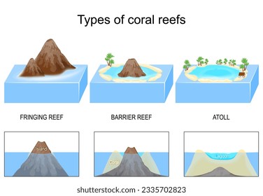 Types, and structure of coral reefs and islands. From Fringing and Barrier reefs, to Atoll with lagoon and palm. isometric explanation. infographic Diagram with cross section of volcanic mountain