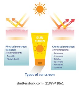 Types of sunscreen vector on white background. Comparison of physical, mineral sunscreen and chemical sunscreen ingredients vector on white background. Skin care and beauty concept illustration.