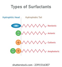 types of surfactants. Head and tail of hydrophilic. Nonionic, anionic, cationic and amphoteric. Scientific resources for teachers and students.