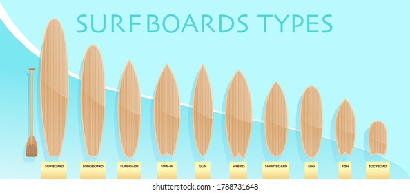Tipos de nombres y tamaños de infografías de tablas de surf. Ilustración de material vectorial. Ver banner de información del sitio web, imprimir.
