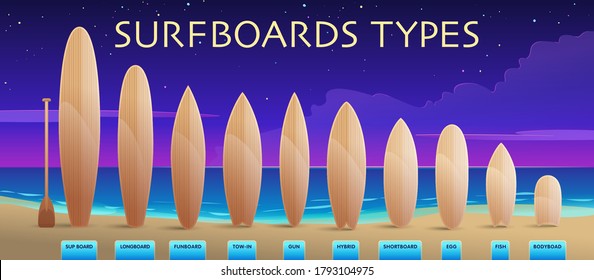 Tipos de tablas de surf, nombres y tamaños en el fondo de la playa oceánica. Ilustración de material vectorial. Ver banner de información del sitio web, imprimir.