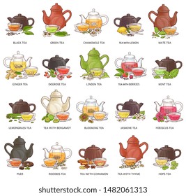 23,003 Mint tea Stock Vectors, Images & Vector Art | Shutterstock