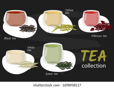 Types of tea in glass cups on chalkboard. Hot drinks collection. Vector illustration.