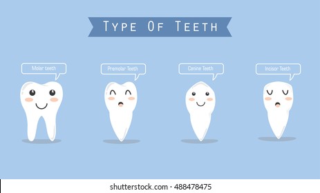 9,826 Tooth Types Images, Stock Photos & Vectors | Shutterstock