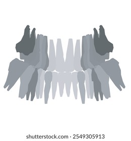 Types of tooth silhouette. Various human tooth with roots, molars, premolars, canines. Vector illustration.