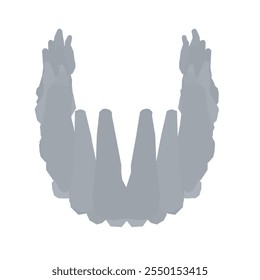 Types of tooth silhouette. Various human tooth with roots, molars, premolars, canines. Vector illustration.