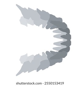 Types of tooth silhouette. Various human tooth with roots, molars, premolars, canines. Vector illustration.