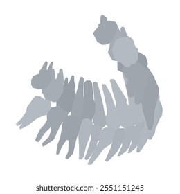 Types of tooth silhouette. Various human tooth with roots, molars, premolars, canines. Vector illustration.