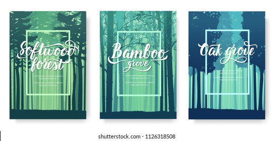 Types of trees from around the world. Beautiful parks from all over the planet. Colorful landscape forests trees. Set of ecology branch flyers design concept